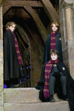 Gryffindor Harry Potter Lenço 190 cm